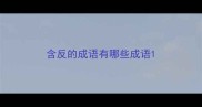 含反的成语有哪些成语