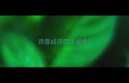 诗意成语四字成语
