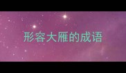 形容大雁的成语