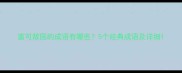 富可敌国的成语有哪些5个经典成语及详细