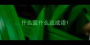 什么蓝什么远成语