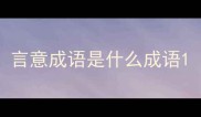 言意成语是什么成语