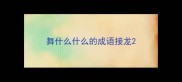舞什么什么的成语接龙