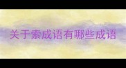 关于索成语有哪些成语