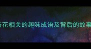 小溪花语必知20个与花相关的趣味成语及背后的故事轻松掌握古文智慧
