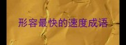 形容最快的速度成语