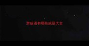 潸成语有哪些成语大全
