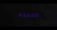 取名的成语