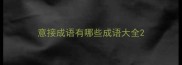 意接成语有哪些成语大全
