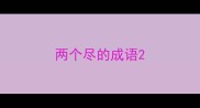 两个尽的成语