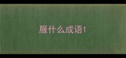服什么成语