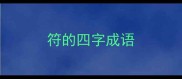 符的四字成语