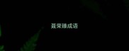 聂荣臻成语