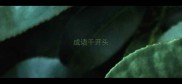 成语千开头