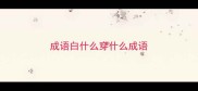 成语白什么穿什么成语