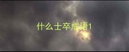什么士卒成语