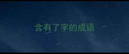 含有了字的成语