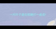 一片叶子遮住眼睛打一成语