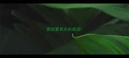 跟初夏有关的成语