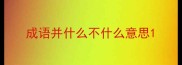成语并什么不什么意思