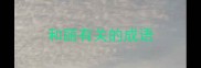 和丽有关的成语