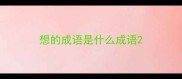 想的成语是什么成语