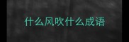 什么风吹什么成语