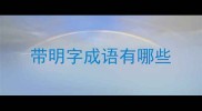 带明字成语有哪些