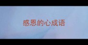 感恩的心成语
