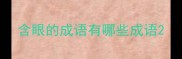 含眼的成语有哪些成语