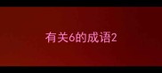 有关6的成语