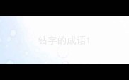 钻字的成语