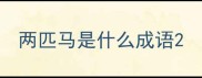 两匹马是什么成语