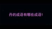 丹的成语有哪些成语