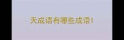 天成语有哪些成语