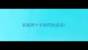 后面两个字相同的成语