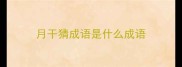 月干猜成语是什么成语