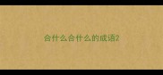 合什么合什么的成语