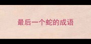 最后一个蛇的成语