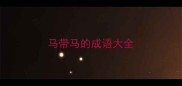 马带马的成语大全