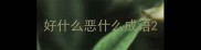 好什么恶什么成语