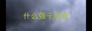 什么强干成语