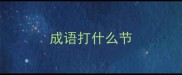 成语打什么节