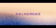 形容心知肚明的成语