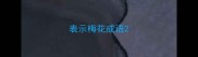 表示梅花成语