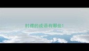肘襟的成语有哪些