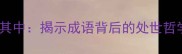 金玉其外败絮其中揭示成语背后的处世哲学与职场警示