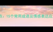 情之起点15个常用成语及情感表达应用指南