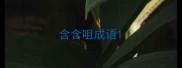 含含咀成语