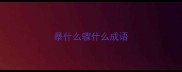 暴什么骤什么成语